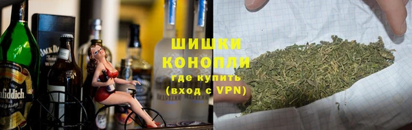 ПСИЛОЦИБИНОВЫЕ ГРИБЫ Белоозёрский